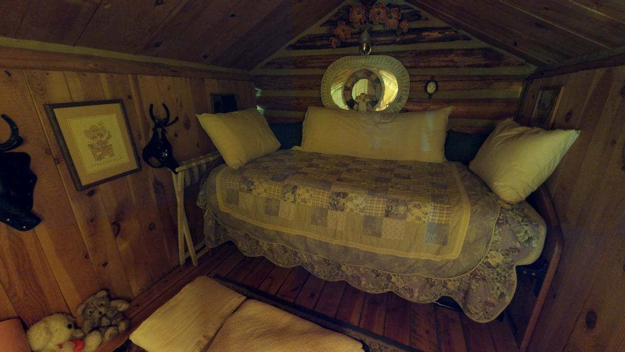 Cabin By The Creek With High Speed Wifi Red River Bagian luar foto
