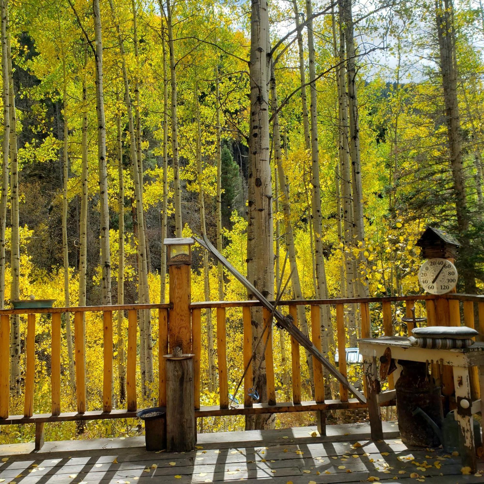 Cabin By The Creek With High Speed Wifi Red River Bagian luar foto