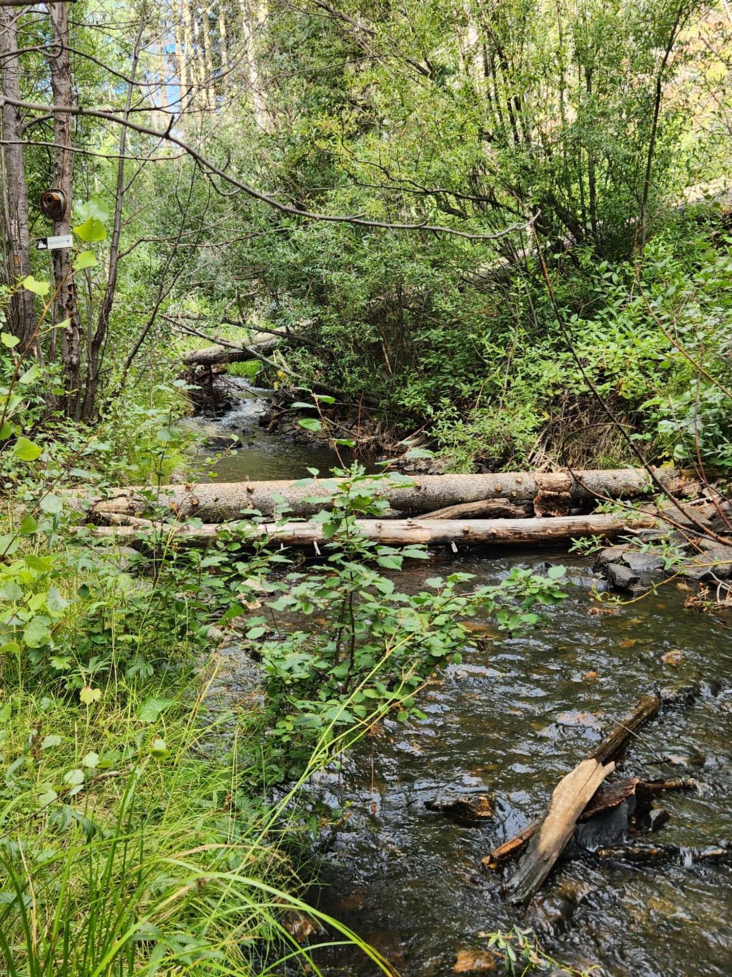 Cabin By The Creek With High Speed Wifi Red River Bagian luar foto